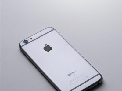 iPhone6s拆机全程解析（深入了解iPhone6s的内部构造与维修方式）