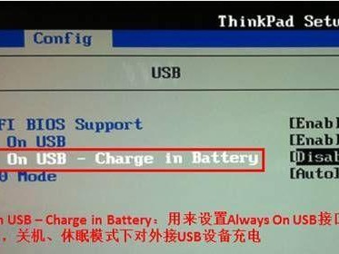 ThinkPadBIOS教程（掌握ThinkPadBIOS设置，轻松提升使用体验）