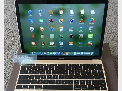 12英寸MacBook（MacBook，轻盈之选助力高效办公）