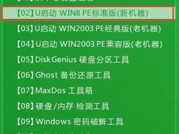 戴尔笔记本U盘安装系统教程（快速学习如何使用戴尔笔记本U盘安装系统）