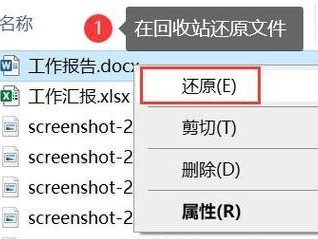 如何恢复被回收站删除的文件（简单步骤帮助您找回意外删除的文件）