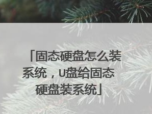 通过系统U盘固态硬盘安装系统的教程（从制作U盘启动盘到安装系统的详细步骤）