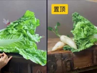 从零开始学习大白菜超制作系统教程（轻松掌握大白菜超制作的技巧与方法）