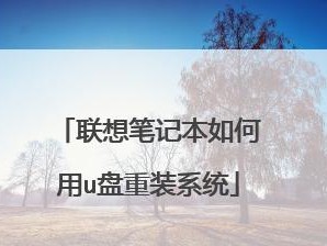 使用U盘为联想电脑安装系统教程（简明易懂的步骤，轻松操作）