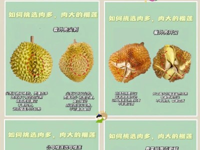 使用电脑制作榴莲肉标签的简易教程（通过电脑软件快速制作个性化的榴莲肉标签）