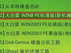 大白菜光盘装系统教程（利用大白菜光盘快速、方便地装系统）