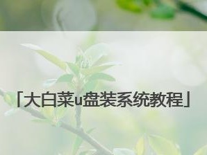 大白菜系统安装使用教程（从零开始学习大白菜系统的安装及使用）