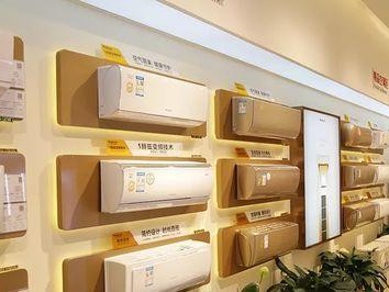 格力性格深度解析——内敛却坚毅不屈